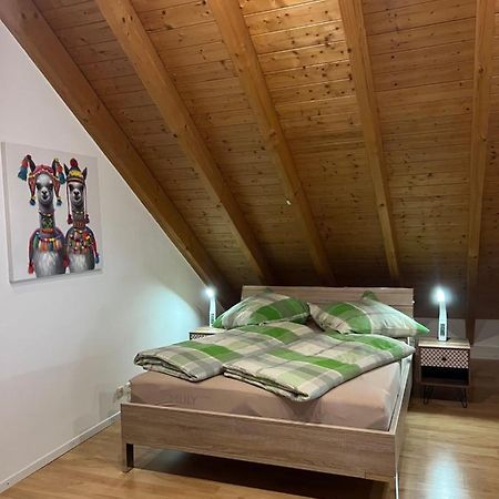 Ferienwohnung Zentral In Loerrach - Konus Gaestekarte Inklusive Buitenkant foto