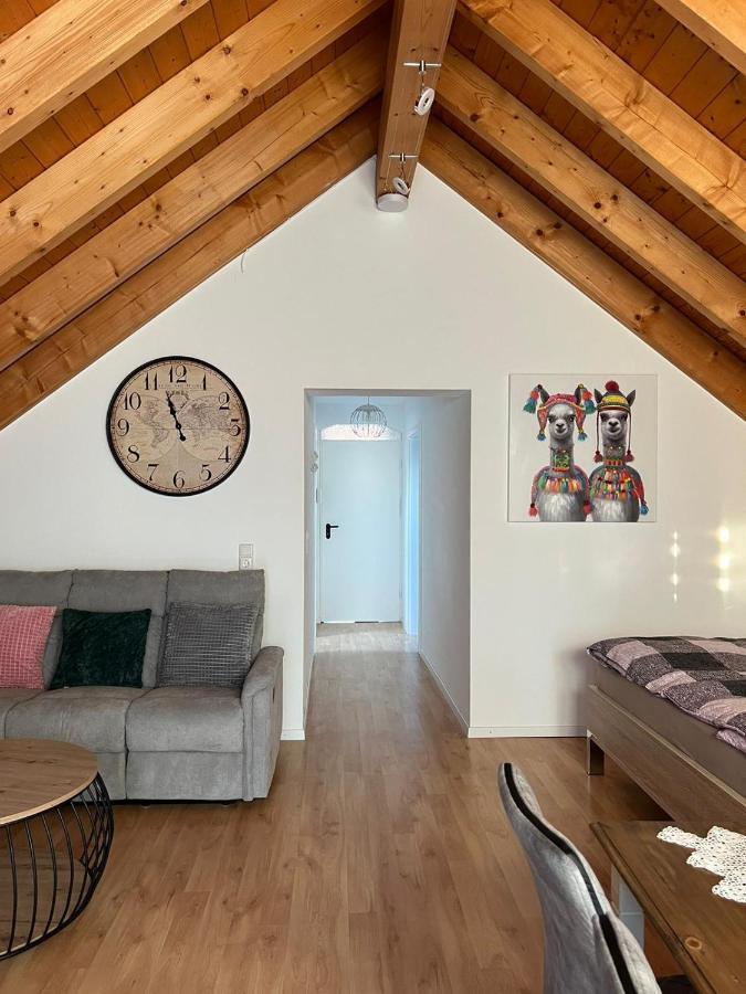 Ferienwohnung Zentral In Loerrach - Konus Gaestekarte Inklusive Buitenkant foto