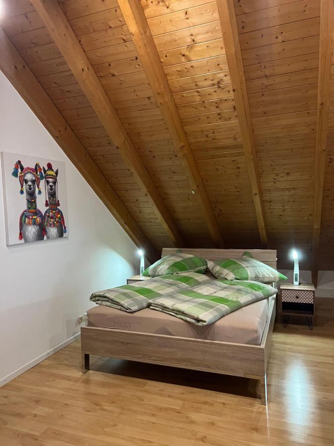 Ferienwohnung Zentral In Loerrach - Konus Gaestekarte Inklusive Buitenkant foto